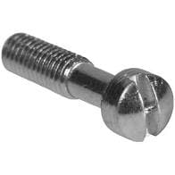 Locking Screws